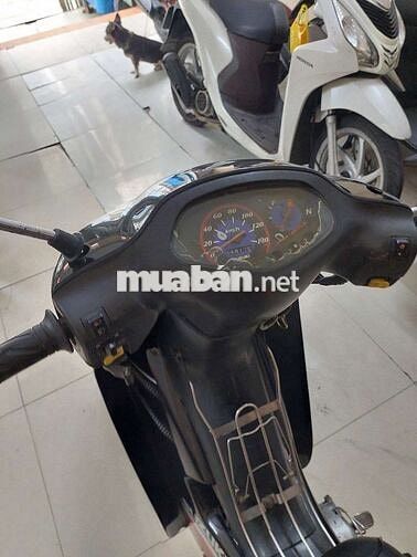 Suzuki smash máy zin
