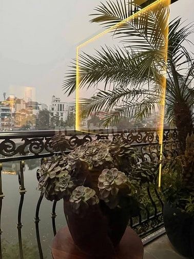 Nhà Đẹp Mặt Phố Kinh Doanh Mai Anh Tuấn 44/55m, 6 tầng, giá 31 tỷ
