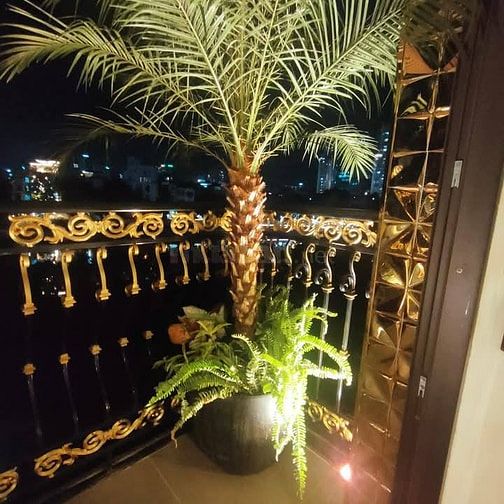 Nhà Đẹp Mặt Phố Kinh Doanh Mai Anh Tuấn 44/55m, 6 tầng, giá 31 tỷ