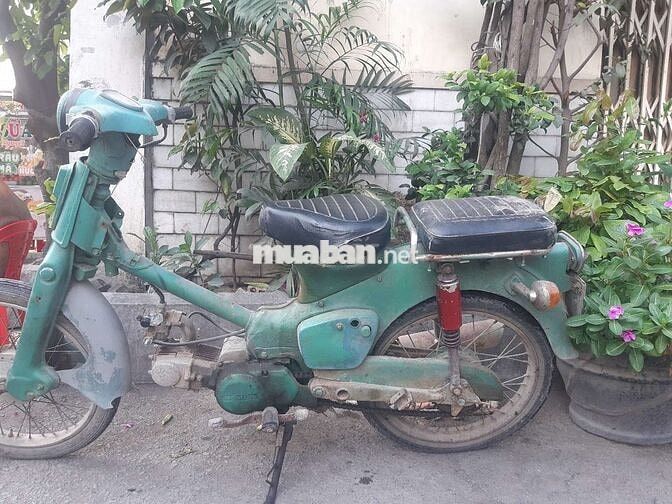 Cần bán xe cup Honda 50cc như hình