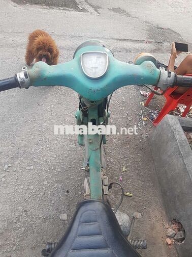 Cần bán xe cup Honda 50cc như hình