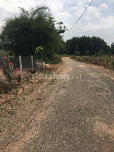 Bán đất tặng nhà vườn nghỉ dưỡng view suối 