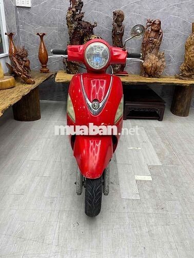 Elizabeth fi máy bao êm, bao chạy đường xa
