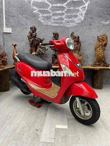 Elizabeth fi máy bao êm, bao chạy đường xa