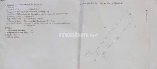 Chính chủ bán đất ruộng 42 công, mặt tiền 85m Ấp Mỹ Thạnh