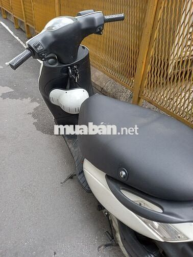BÁN XE ZIP 2015