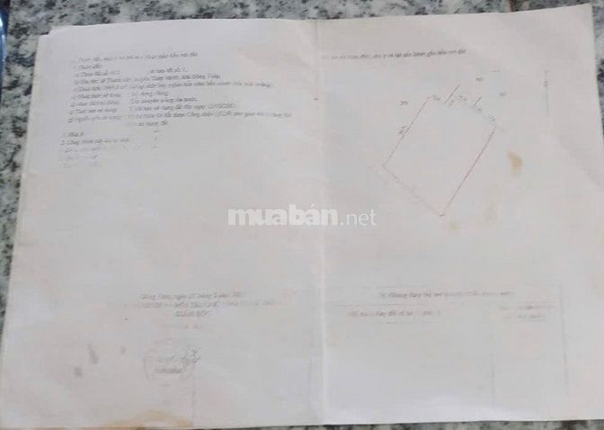Chính chủ bán đất ruộng 42 công, mặt tiền 85m Ấp Mỹ Thạnh