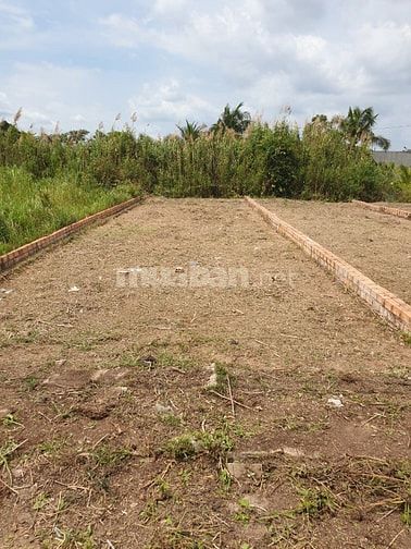 Đất nền 91m2 full thổ cư tại Xã Hòa Phú, H.Long Hồ, T.Vĩnh Long bán