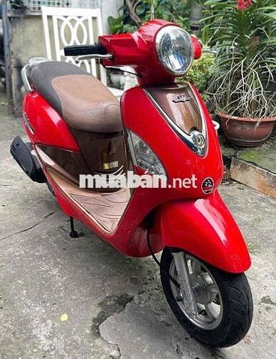 Elizabeth Fi 2013, biển TP giấy tờ đầy đủ