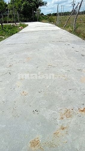 BÁN LÔ ĐẤT SỐ HỒNG BÌNH KHÁNH - CẦN GIỜ  200 M2( 11.5 X 17.5 ) 3.5 TỶ 