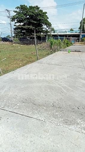 BÁN LÔ ĐẤT SỐ HỒNG BÌNH KHÁNH - CẦN GIỜ  200 M2( 11.5 X 17.5 ) 3.5 TỶ 