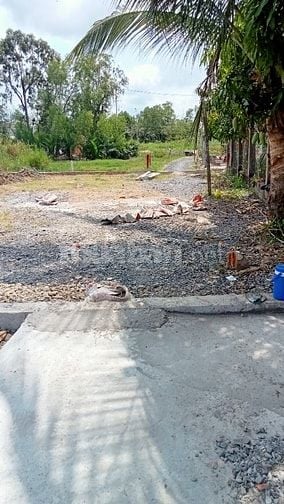 BÁN LÔ ĐẤT SỐ HỒNG BÌNH KHÁNH - CẦN GIỜ  200 M2( 11.5 X 17.5 ) 3.5 TỶ 