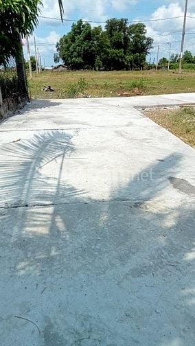 BÁN LÔ ĐẤT SỐ HỒNG BÌNH KHÁNH - CẦN GIỜ  200 M2( 11.5 X 17.5 ) 3.5 TỶ 