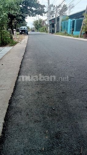 BÁN LÔ ĐẤT SỐ HỒNG BÌNH KHÁNH - CẦN GIỜ  200 M2( 11.5 X 17.5 ) 3.5 TỶ 