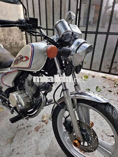 Xe Dealim VS125 Bô Câu Trắng