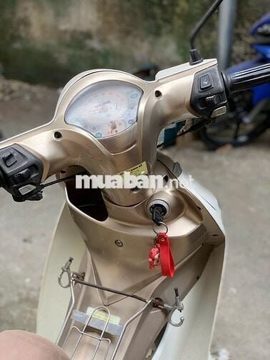 angela 50cc máy êm thì thầm, có bán trả góp