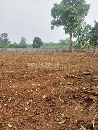 CẦN BÁN LÔ ĐẤT 1700M2 VIEW ĐẸP PHÙ HỢP NGHỈ DƯỠNG