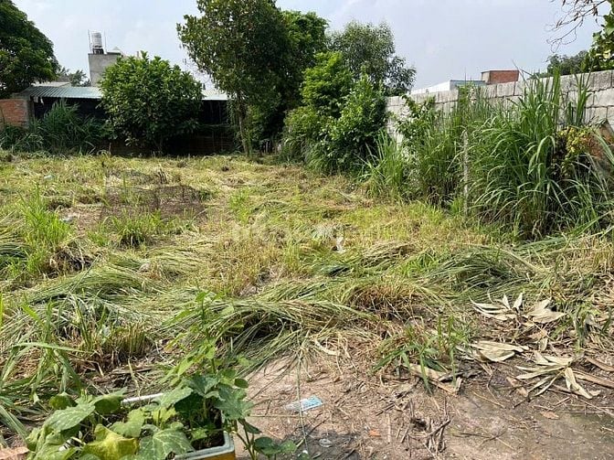 Bán đất chính chủ đường Tân Thạnh Đông, Củ Chi, DT 315m2, gần chợ