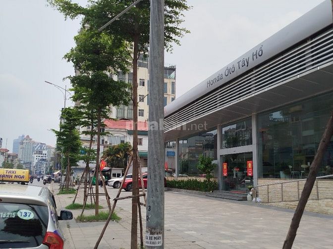 BÁN ĐẤT MẶT ĐƯỜNG NGHI TÀM, TÂY HỒ,4 LÀN ÔTÔ, 400M, MẶTTIỀN 13M,215TỶ