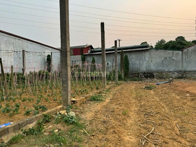BÁN LÔ ĐẤT THƯƠNG MẠI ĐẸP MẶT ĐƯỜNG QUỐC LỘ 6 MỘC CHÂU