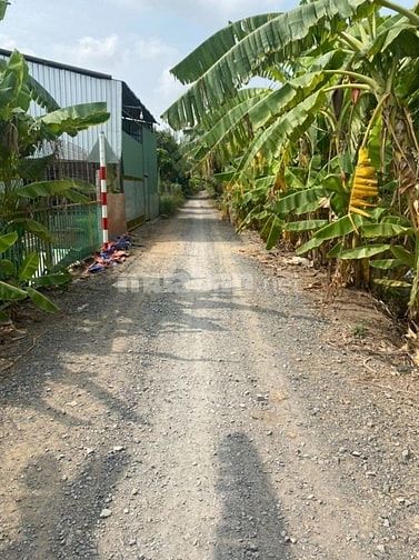 Bán đất thổ cư xây nhà ở,biệt thự gần chợ Phước Vân Long An giáp HCM