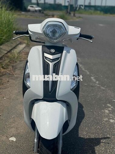 Noda Gremđe màu trắng mới keng 43K1-302.30