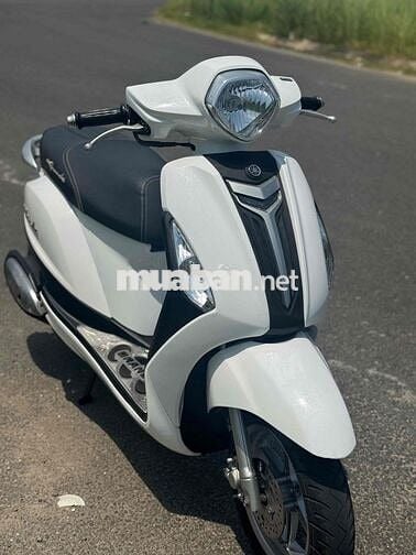 Noda Gremđe màu trắng mới keng 43K1-302.30
