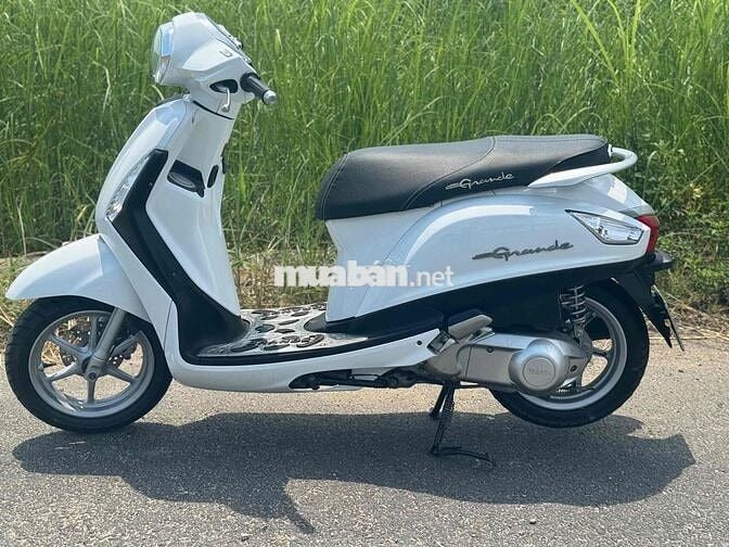 Noda Gremđe màu trắng mới keng 43K1-302.30