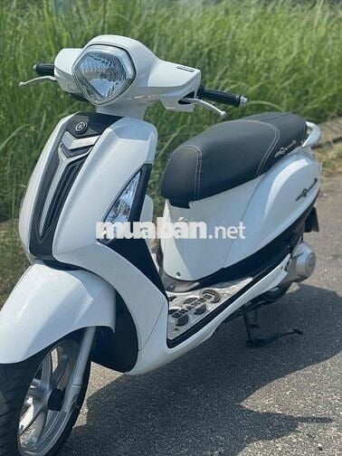 Noda Gremđe màu trắng mới keng 43K1-302.30