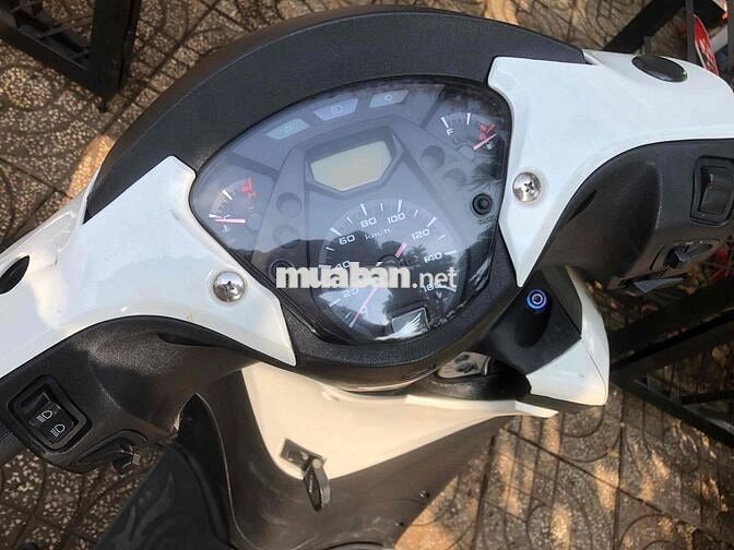 shvn 125