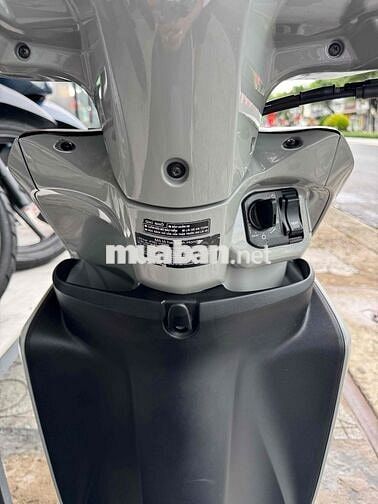 VISION 2019. Xám Xi Măng. Đẹp Như Mới. BS 68