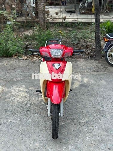 xipo 120