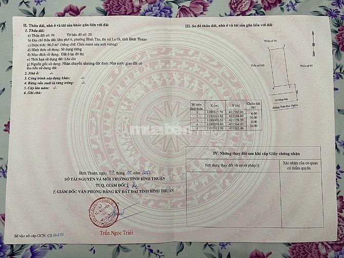 Bán nhà mặt tiền sổ hồng chính chủ