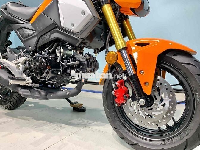 honda MSX125 biển số SG, 1 chủ từ đầu | MSX 125