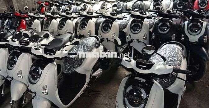 HONDA SCOOPY MỚI 100% SX 2025 ĐỦ MÀU