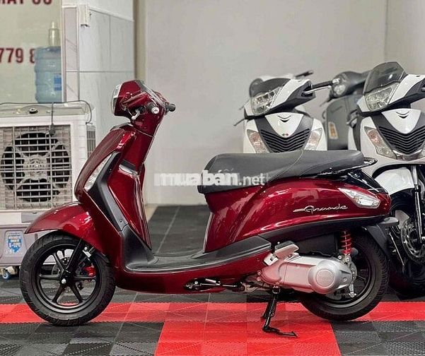 💥Grande đời 2016 BSTP Bao tên bấm số xe đẹp💥