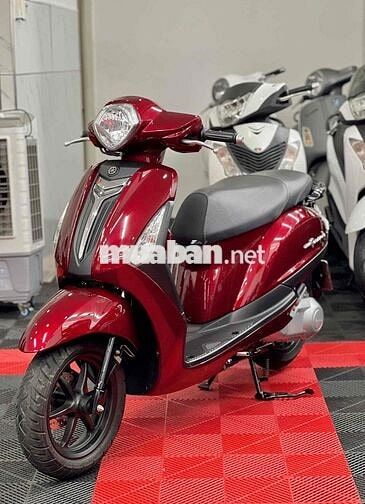 💥Grande đời 2016 BSTP Bao tên bấm số xe đẹp💥