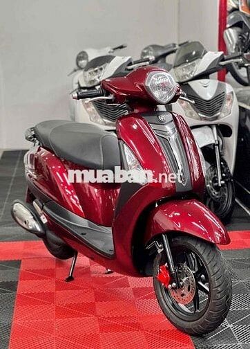 💥Grande đời 2016 BSTP Bao tên bấm số xe đẹp💥