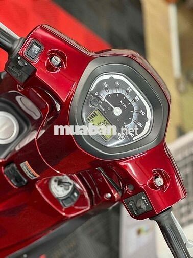 💥Grande đời 2016 BSTP Bao tên bấm số xe đẹp💥