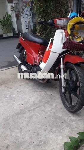 Cần bán xe max Nhật