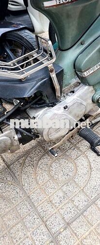 Cub 79 Nguyên Bản
