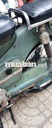 Cub 79 Nguyên Bản