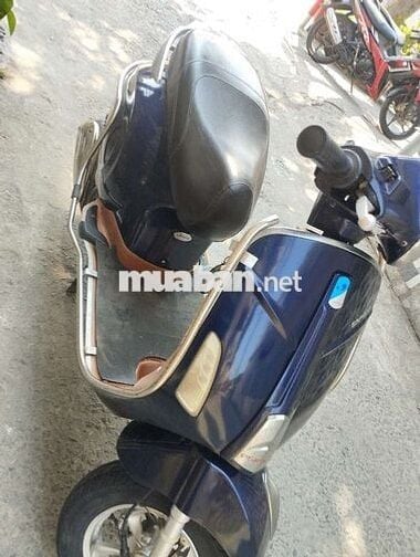 Xe ga 50 dành cho học sinh