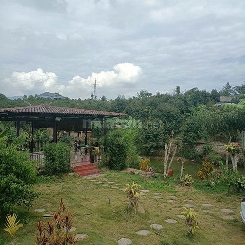 BÁN ĐẤT NHÀ VƯỜN BẢO LỘC – GIÁ F0 CHỈ 650 TRIỆU