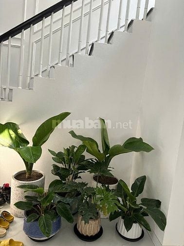 Biệt thự đẹp xuất sắc tại Gia Thụy, Long Biên, Hà Nội, 15,9 tỷ, 99m2
