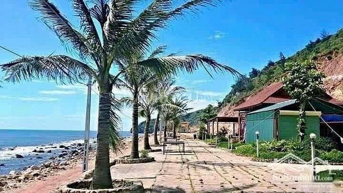 BÁN 6000m2 ĐẤT KHU MẶT BIỂN Quỳnh Nghĩa, Quỳnh Lưu, Nghệ An.