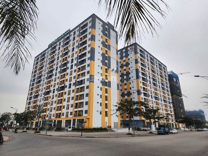 Chuyển nhượng lô BT view vườn hoa khu đô thị Seoul Ecohome Tràng Duệ