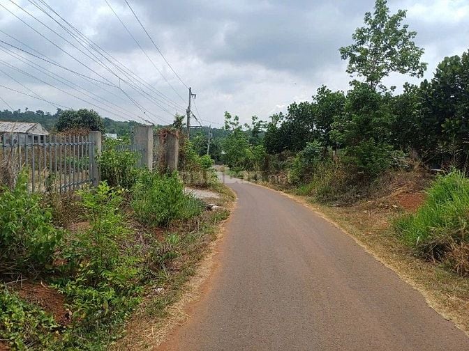 BÁN ĐẤT NÔNG NGHIỆP  XÃ LÂM SAN , HUYỆN CẨM MỸ, TỈNH ĐỐNG NAI