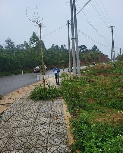 Cần bán đất thổ cư (chính chủ), MT đường nhựa 12m, Bảo Lâm, Lâm Đồng.