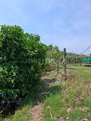 Cần bán 4200m Phú Hữu Tp. Thủ Đức
